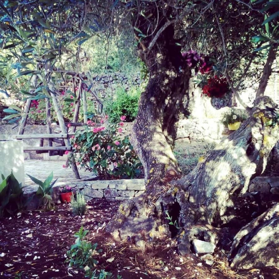 Private Villa Demetra 1768 With Pool - Close To フィスカルドン エクステリア 写真